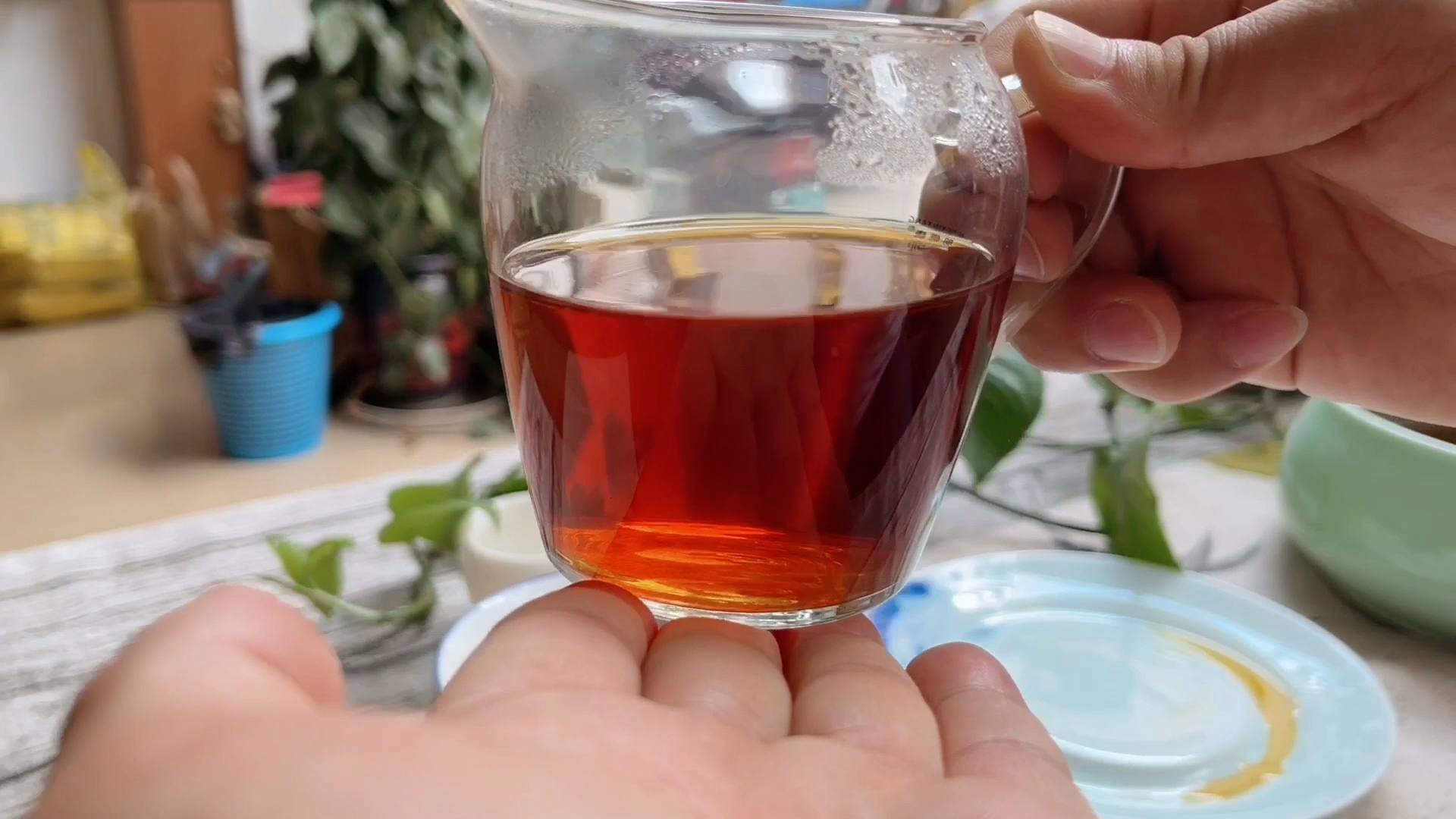 红茶基础知识100问第二期：入门级茶友怎样了解红茶？