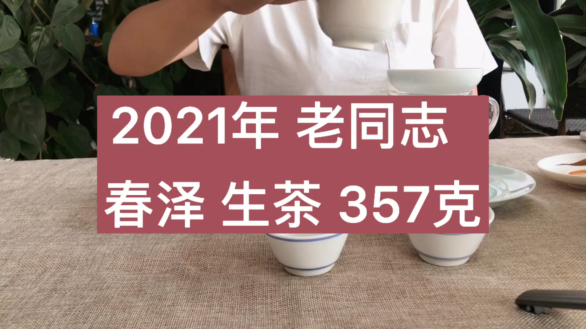 2021年老同志春泽生茶357克产品详情一