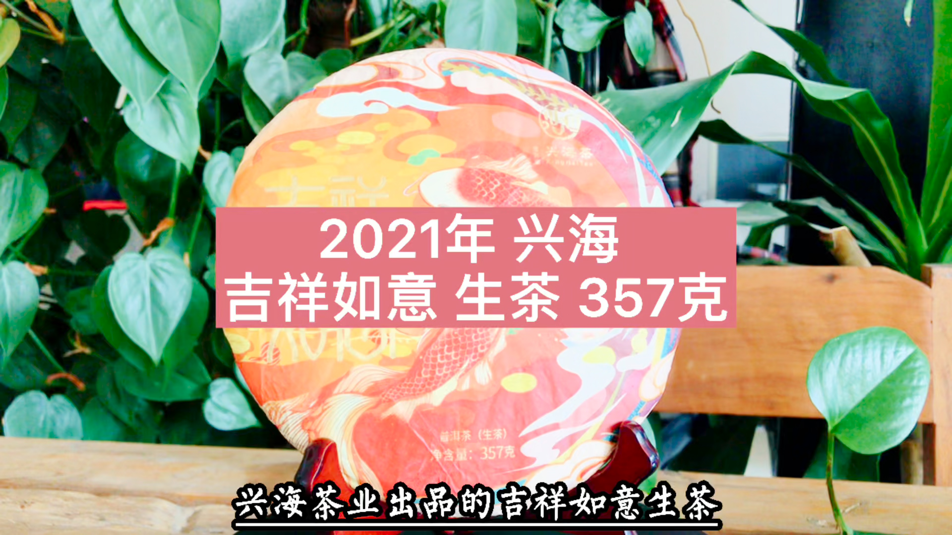 2021年兴海吉祥如意生茶：口感饱满，香气十足