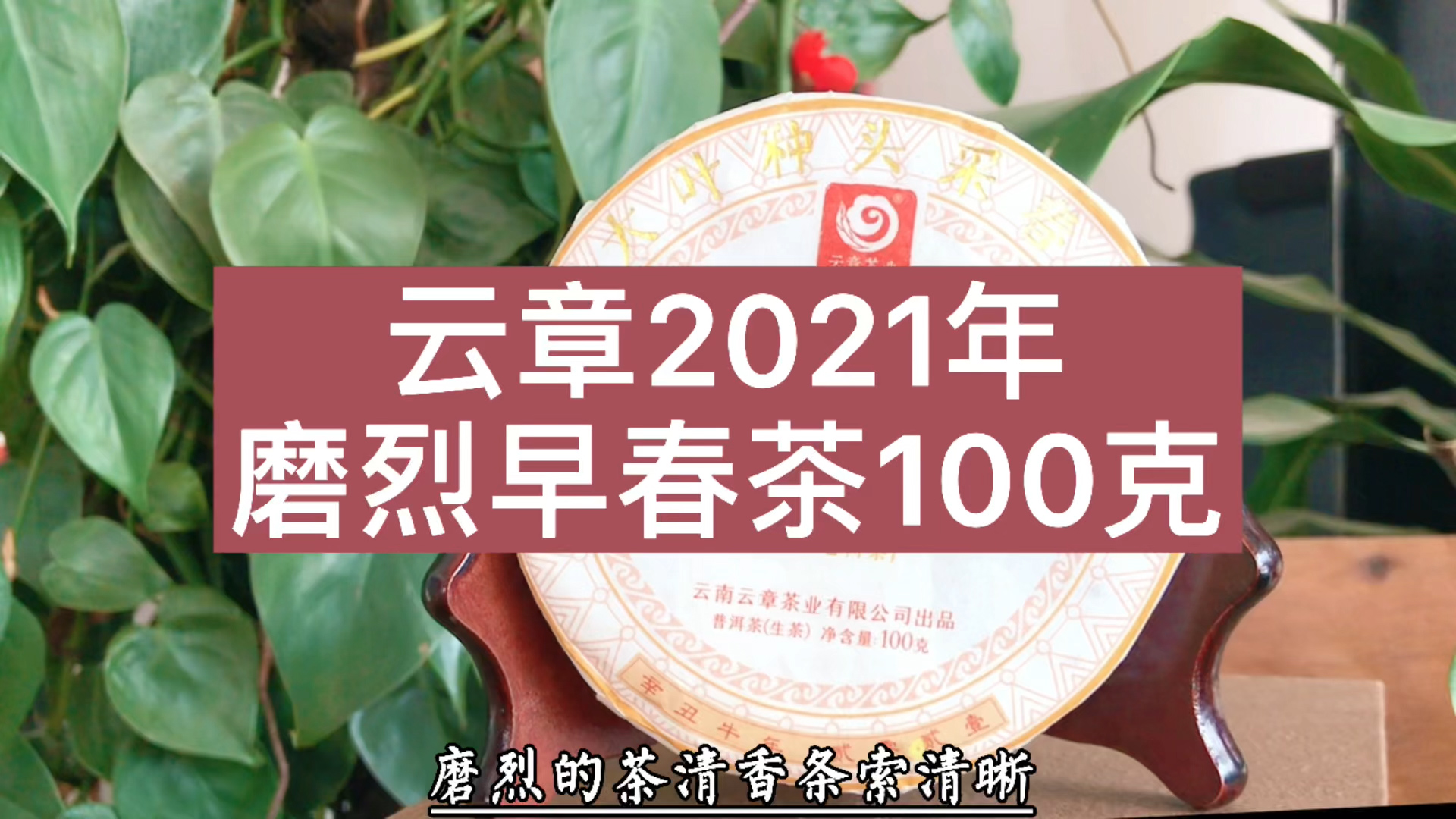 2021年云章磨烈头春茶生茶100克：韵味深，回味久!