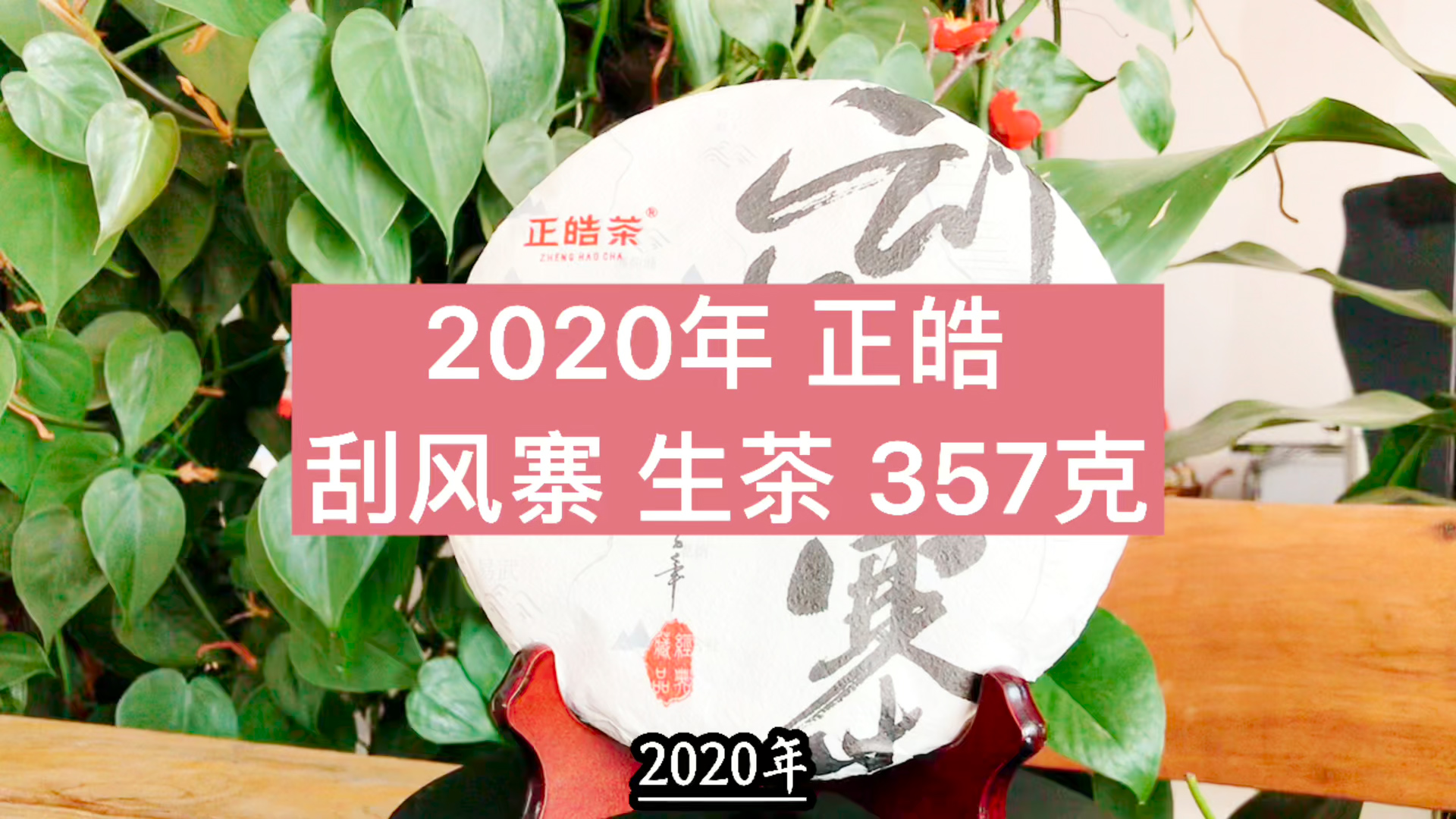 2020年正皓刮风寨生茶357克