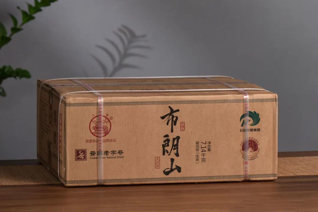 八角亭布朗山大树茶，珍藏品限量上市（视频）