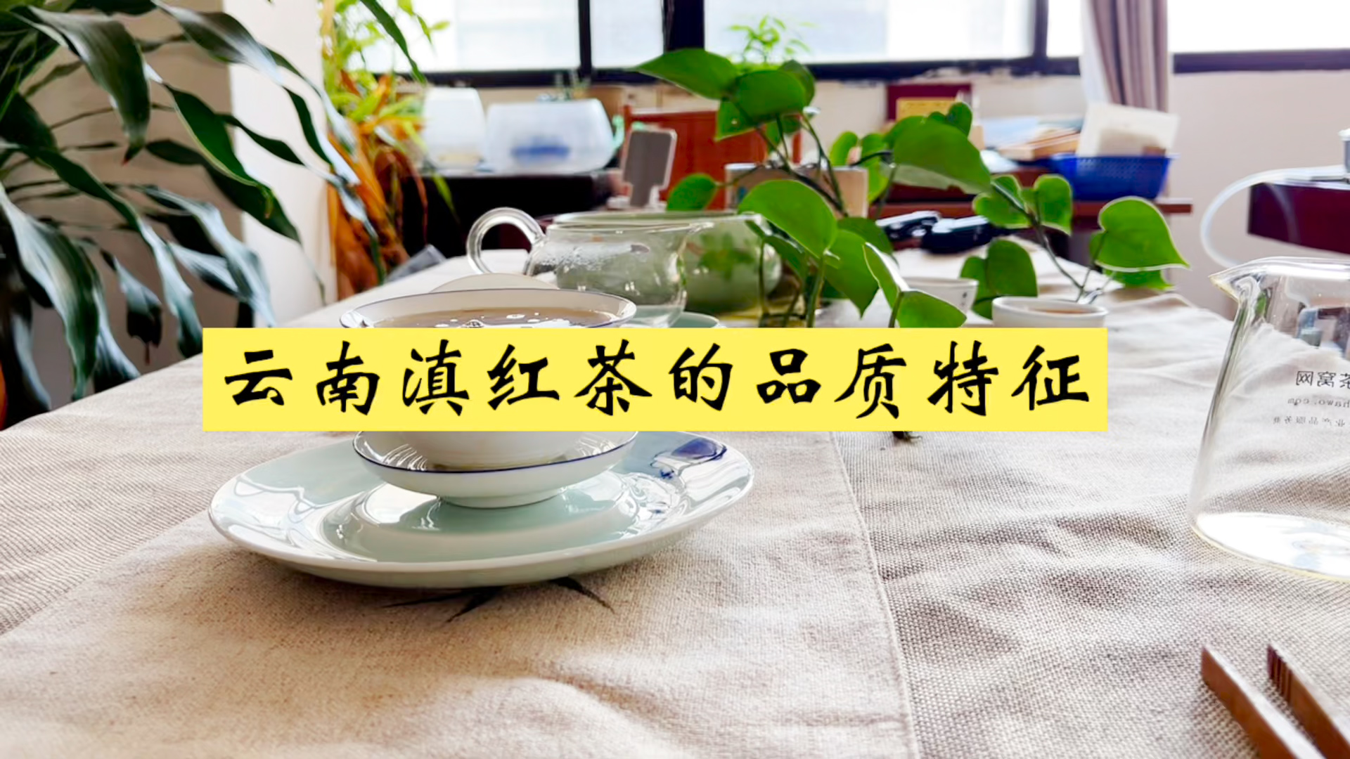 云南滇红茶的品质特征