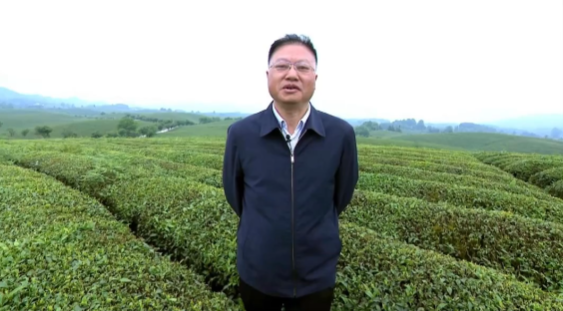 贵州省遵义市种植业发展服务中心主任田维祥为您推介：湄潭翠芽、遵义红