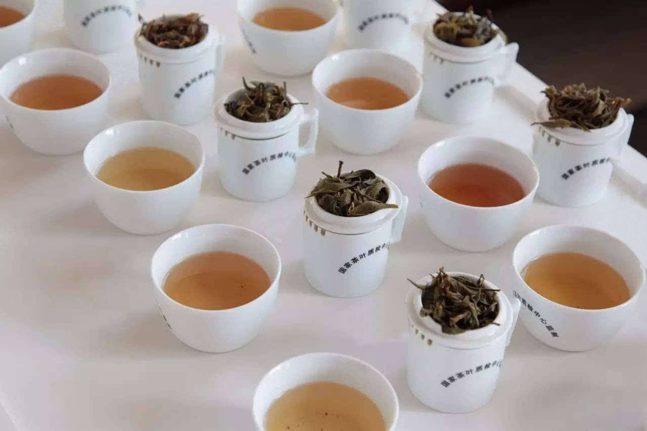 揭秘行家都在用的普洱试茶法，试茶和品茶有什么区别？