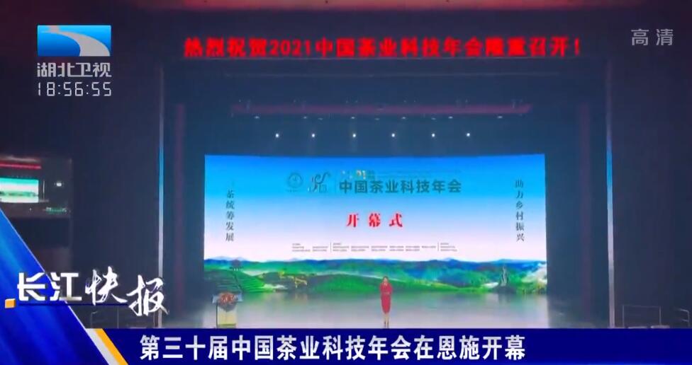 湖北卫视报道：第三十届中国茶业科技年会在恩施开幕