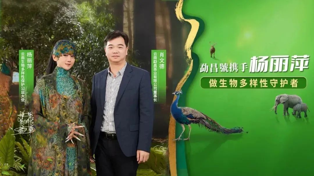 亚太展讯 | 勐昌號携手杨丽萍相约广州茶博会，做生物多样性守护者！