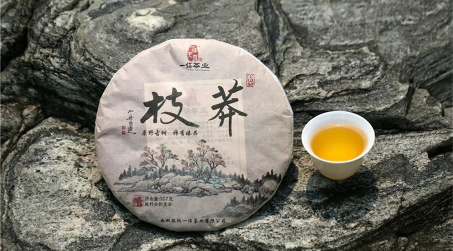 李桂荣说茶丨莽枝古树纯料茶：一香一味总关"雅"