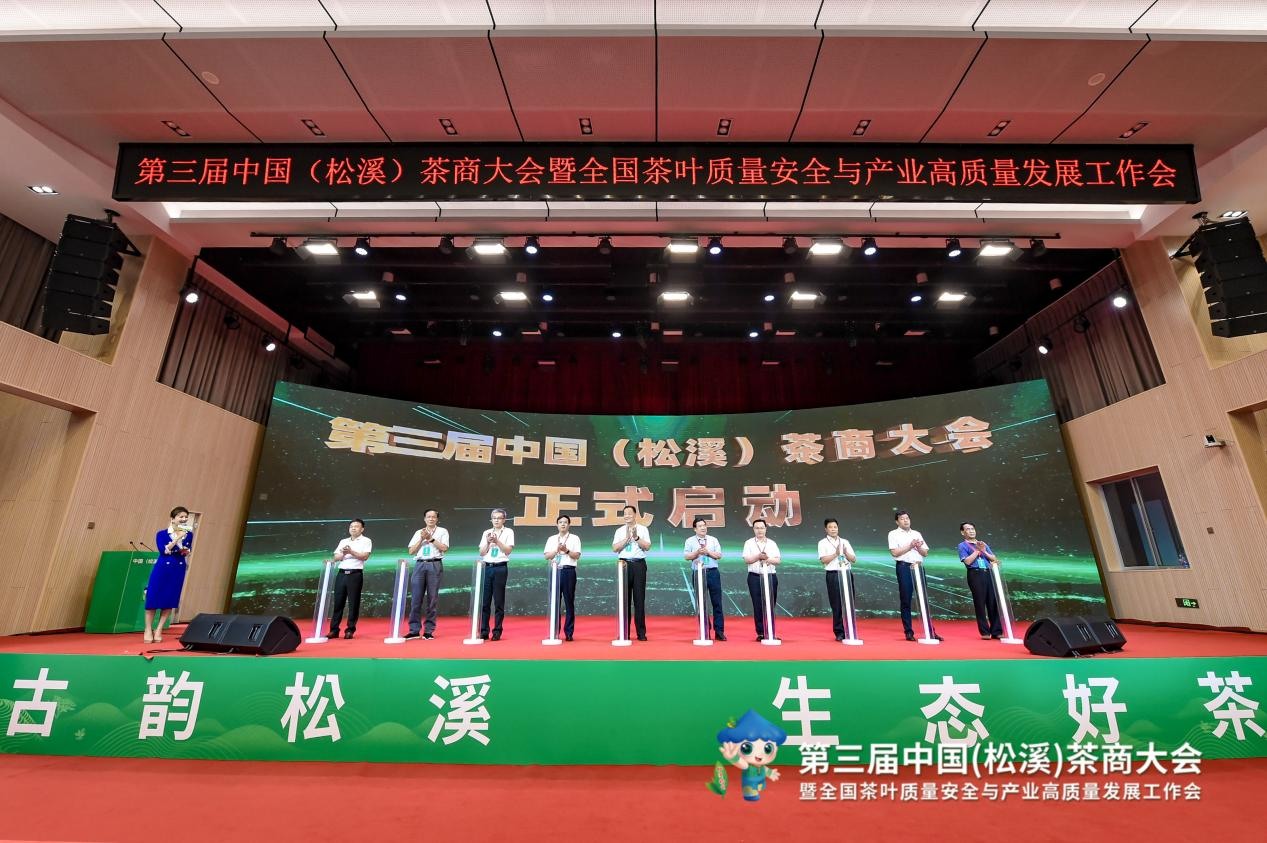 看见小叶子的大力量：第三届中国（松溪）茶商大会举办