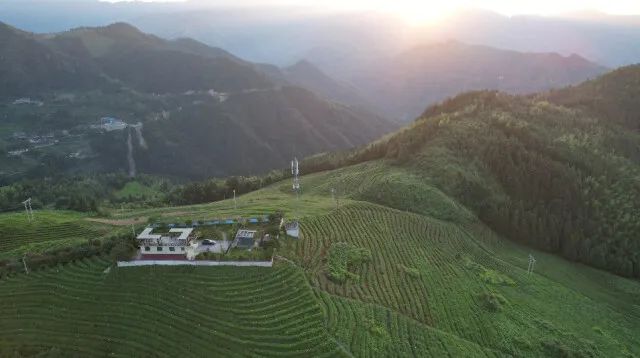 湖南省蒙洱茶叶开发有限公司——天地有茶 大美不言，2022年湖南茶叶乡村振兴“十佳茶旅融合标杆企业”