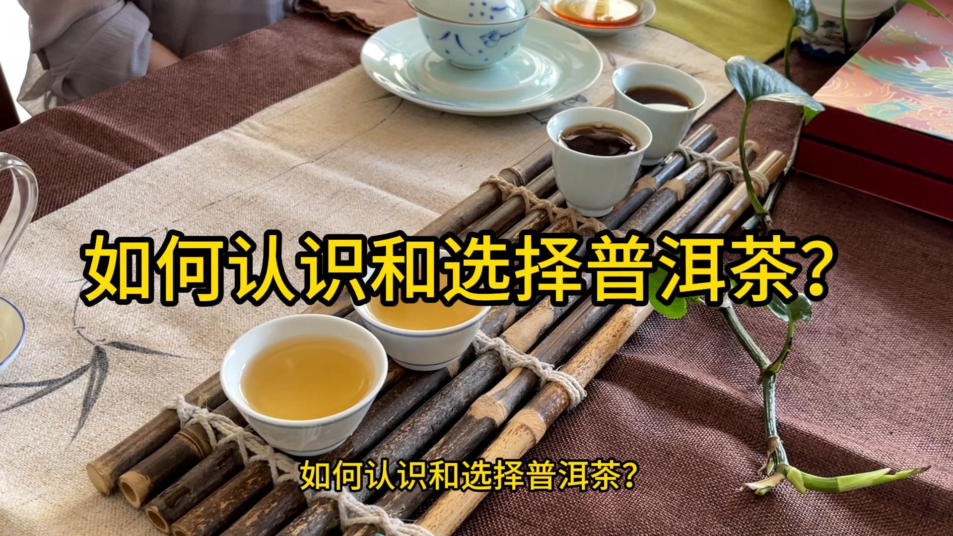 如何认识和选择普洱茶？