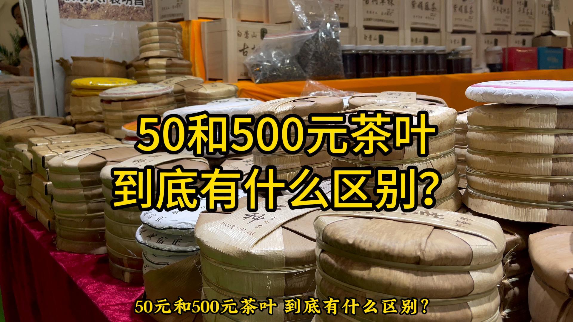 50元和500元茶叶，到底有什么区别？