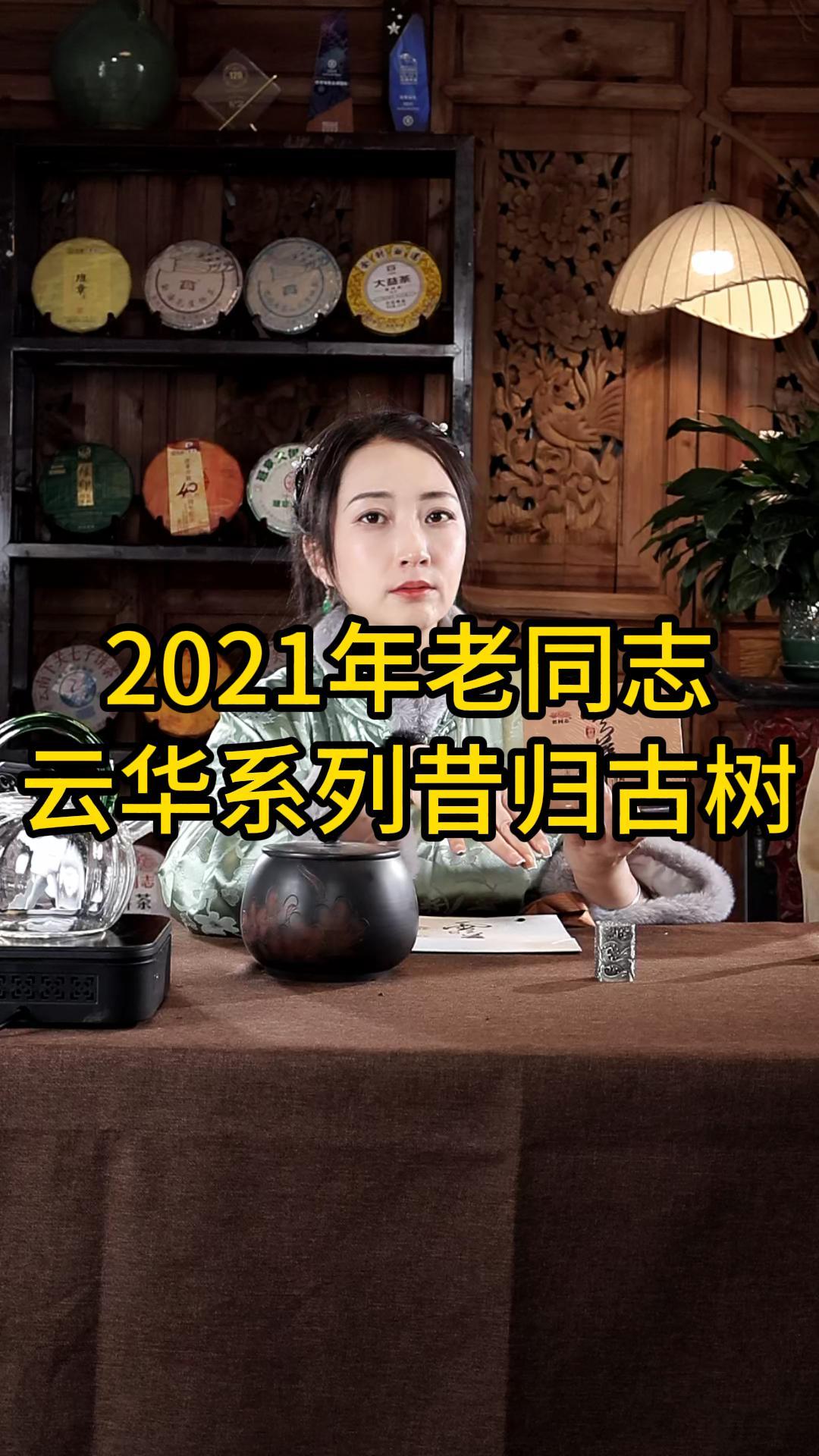 2021年老同志云华系列昔归古树生茶